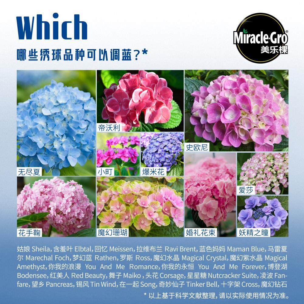 美乐棵家用花卉型硫酸铝绣球调蓝调色剂土壤调酸 水溶肥养花肥料,淘宝优惠券,粉丝福利购,淘宝优惠卷
