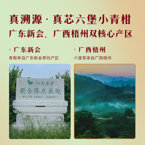 八马茶业正宗新会小青柑普洱熟茶青柑六堡茶自己喝伴手礼茶叶半斤 - 图3