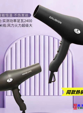 电吹风发廊大力神专业高温