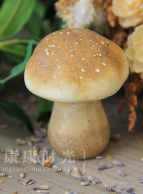 康康时光陶土小蘑菇装饰花园杂货