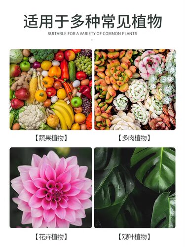 俄罗斯进口阿康复合肥通用型果树专用蔬菜农用种菜氮磷钾三元肥料 - 图2