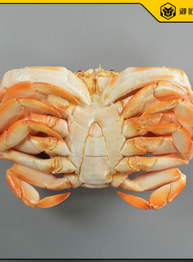 珍宝蟹仿真海鲜食品模型