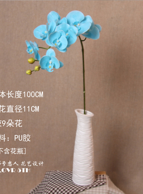 蓝色素材摆放假花