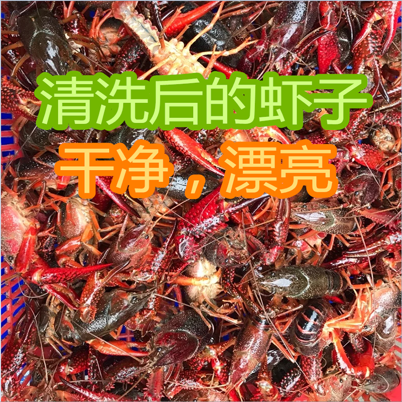 小龙虾洗虾粉食用级环丰生物科技龙虾螃蟹清洁剂祛垢除垢漂白洗白 - 图2