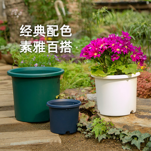 爱丽思彩色高筒Deepot深型月季花盆大口径圆形爱丽丝塑料绿萝花盆 - 图1