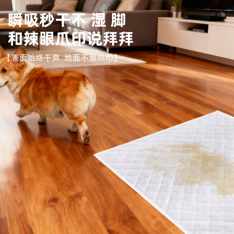 爱丽思狗狗尿垫加厚除臭吸水垫尿布尿片宠物隔尿垫猫尿垫厕所尿垫,淘宝优惠券,粉丝福利购,淘宝优惠卷