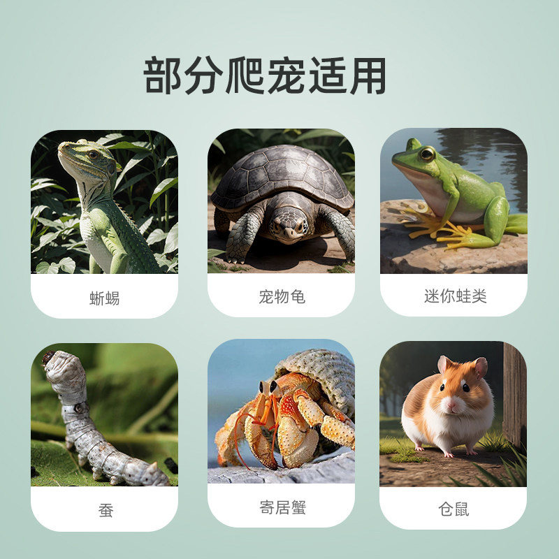 爱丽思乌龟缸带晒台饲养缸专用鱼缸巴西龟养龟箱屋爱丽丝爬虫盒子,淘宝优惠券,粉丝福利购,淘宝优惠卷