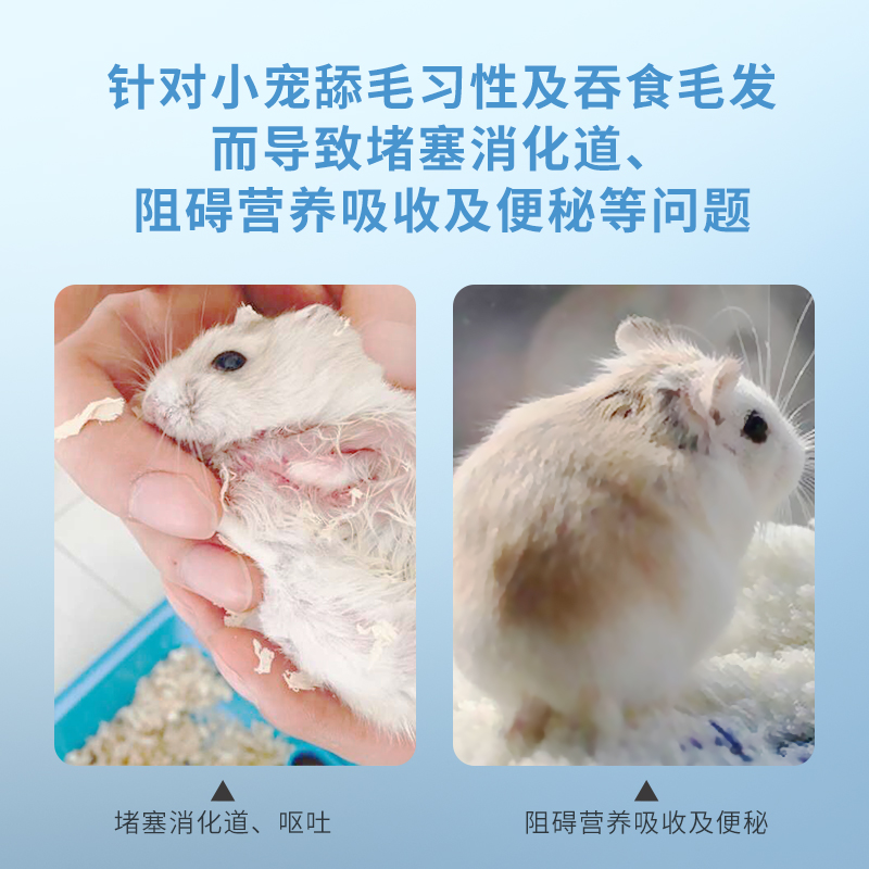 兔博士速效排毛膏50GDr.Bunny兔子龙猫豚鼠化毛膏木瓜酵素 DR331 - 图2