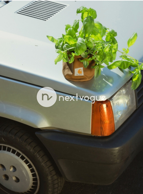 carharttwip帆布花盆套装