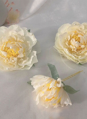 套装绢花古风复古汉服发饰