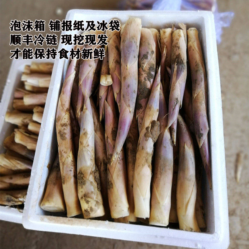 新鲜笋鞭笋时令蔬菜酒店特色食材夏笋绿笋边笋马蹄笋雷笋小竹笋尖_虎窝淘