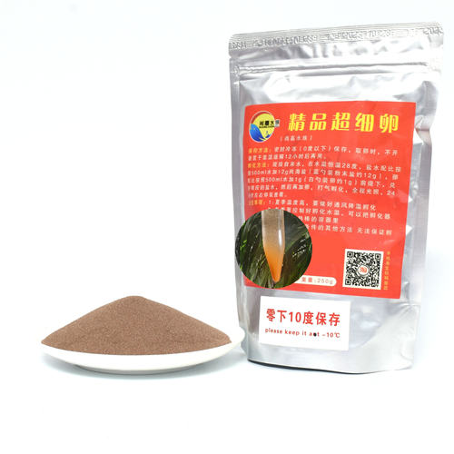 新货渤海湾盐田超细卵可孵化丰年虾卵卤虫卵虾苗燕鱼苗开口鱼饲料 - 图0