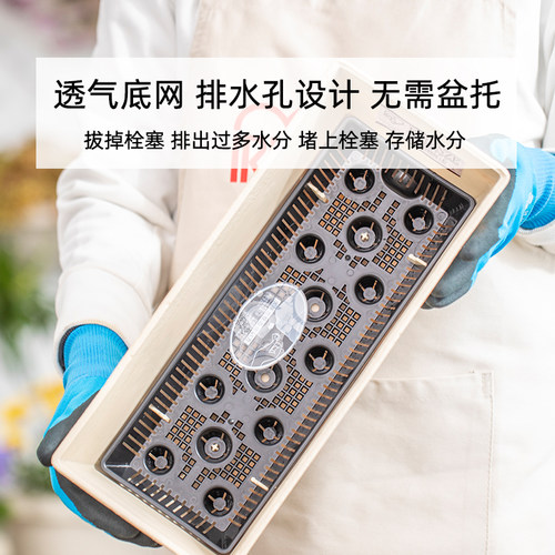 爱丽思FIRENE凸纹长形树脂花盆花卉绿植简约地面塑料盆爱丽丝包邮 - 图0