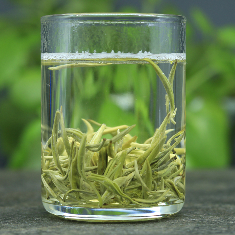 全芽八八银丝绿茶2023新茶特级云南绿茶春尖毛尖茶叶嫩芽500g盒装