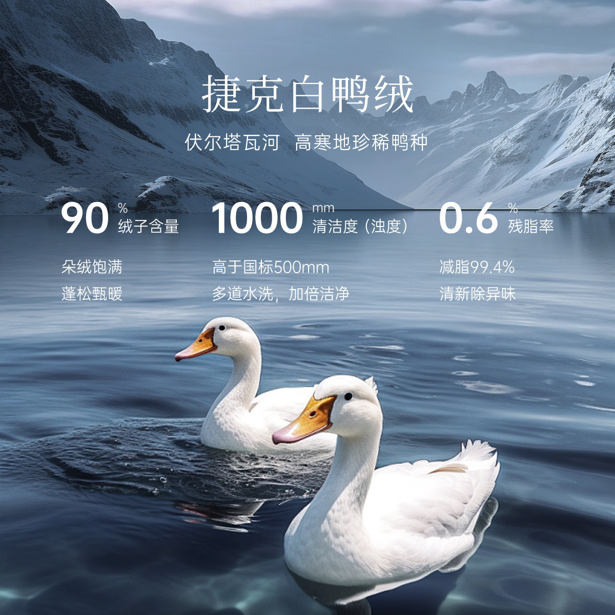 koradior珂莱蒂尔冬捷克白鸭绒简约淑女立领羽绒服外套女