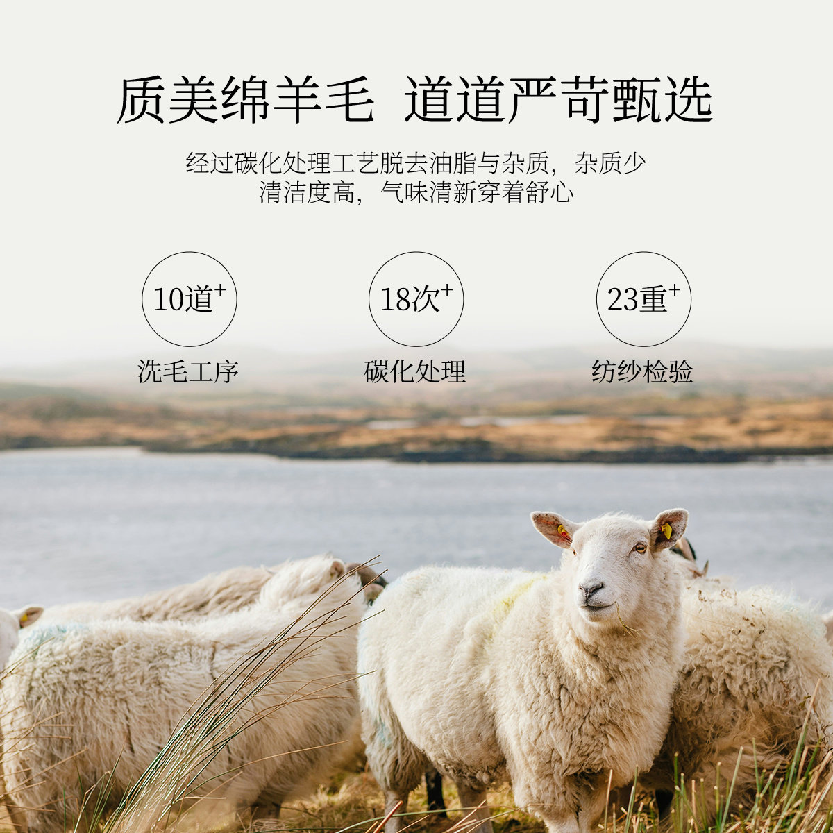 珂莱蒂尔商场同款女装冬季羊毛半高圆领毛衣纯色百搭针织衫