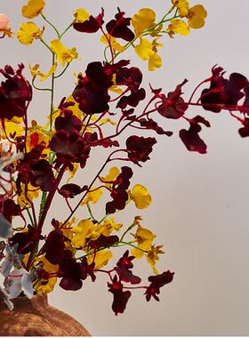 跳舞兰仿真秋色摆件塑料花