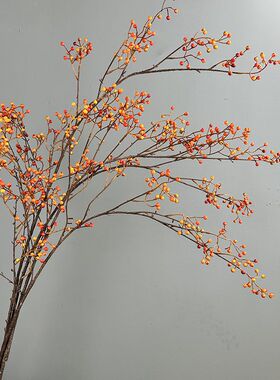 仿真浆果枝秋色系装饰花材 室内婚庆场景氛围感插花配材山归来果