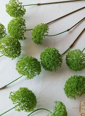 仿真石竹绿色软毛球花
