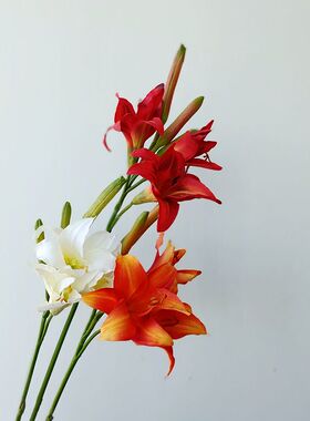 仿真花萱草黄花百合花