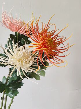 仿真花手感龙爪菊中式菊花火树银花家居装饰花艺造景摄影道具假花