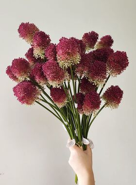 配花仿真花绣球花蒲公英摆设花艺