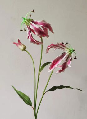 仿真花PU手感 嘉兰 火焰百合 单枝假花家居装饰 摄影道具摆件花卉