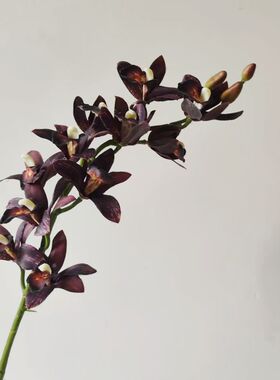 年宵花11头蕙兰仿真花保湿手感兰花婚庆酒店家居软装假花蕙兰软装