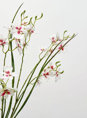 仿真花小香水纹心兰花艺摆件塑料花灯心草小植物叶子插花花艺造景