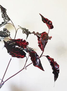 狂野丛林系列黑蝶彩叶海芋叶芋仿真花束复古客厅花艺插花家居装饰