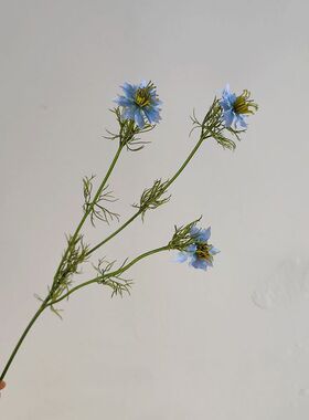 特色小配花芒克刺刺枝子仿真植物仿真花个性另类装饰美式乡村