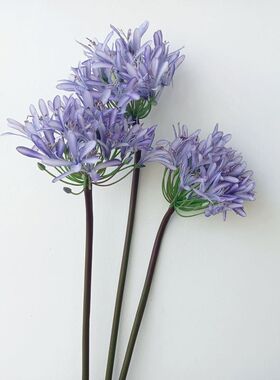 蓝色百子莲客厅高质样板间仿真花