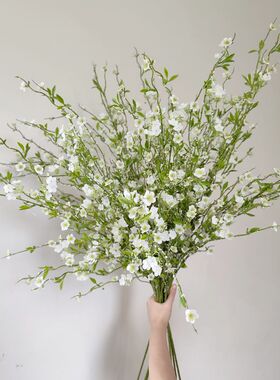 靓插花室内中国绿植枝白娟1