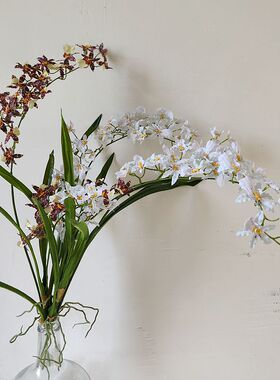 带叶白色仿真花 轭瓣兰 高品质文心兰室内软装花艺摄影道具装饰花