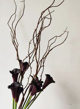 仿真植物云龙柳 插花配材家居装饰枝条插花配材塑胶龙柳仿真枯枝