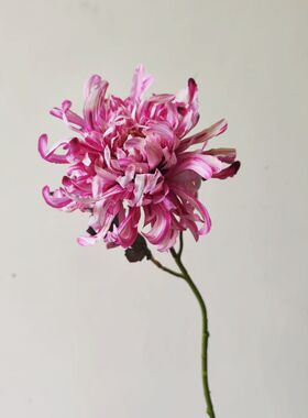 仿真花假花烟花菊绢花插花龙爪菊摆件客厅餐桌花束婚庆摄影道具