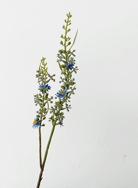 北欧小清新银叶菊果文艺仿真花