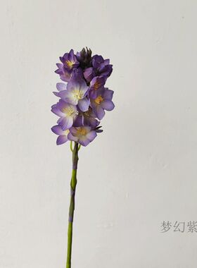 靓百合手捧中国晚香玉枝粉色娟1