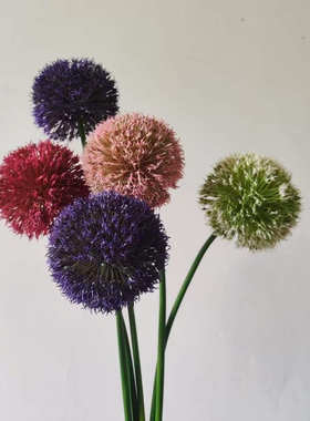仿真花洋葱球仿真绿植葱球花球婚庆家居蒲公英摄影道具造景假花