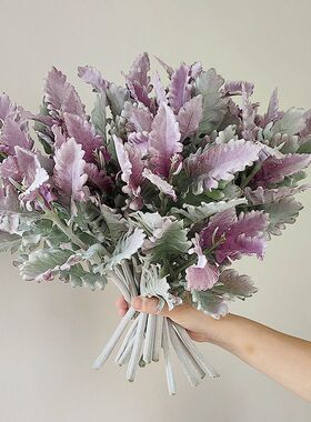 银叶菊绿色仿真绢花手捧枝叶家居桌面花艺摆放结婚庆摄影吊蓝道具