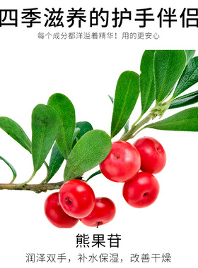 大瓶按压300g熊果苷嫩白护手霜