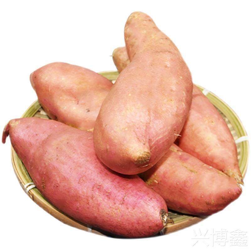 广东湛江沙地蜜薯糖心红薯新鲜超甜山东地瓜农家自种西瓜红板栗薯,淘宝优惠券,粉丝福利购,淘宝优惠卷