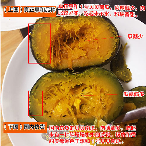新瓜~缅甸正宗日本惠和一号真贝贝小南瓜新鲜板栗味软糯香甜宝宝 - 图2