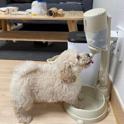 现货~韩国正品Purmi可调高度宠物猫狗喝水饮水器水碗500ml - 图0