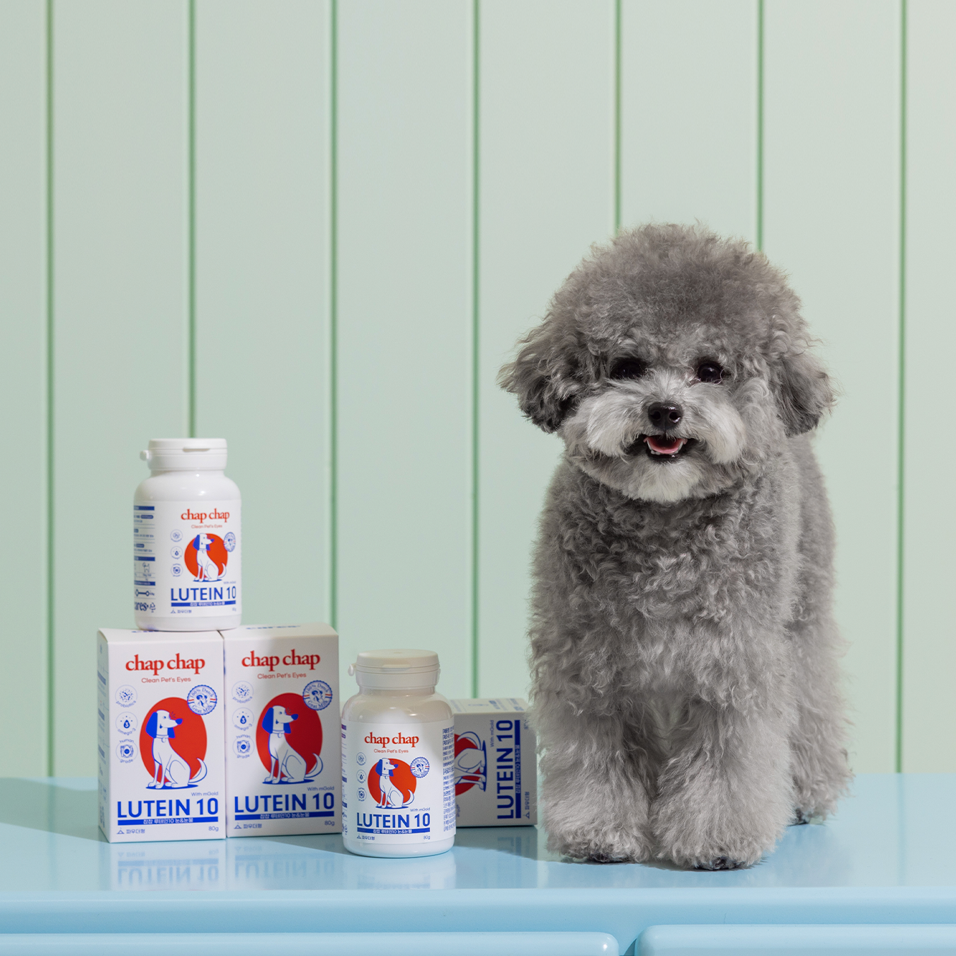 现货~售完无补~韩国ChapChap宠物叶黄素眼睛支气管保健护理营养粉,淘宝优惠券,粉丝福利购,淘宝优惠卷