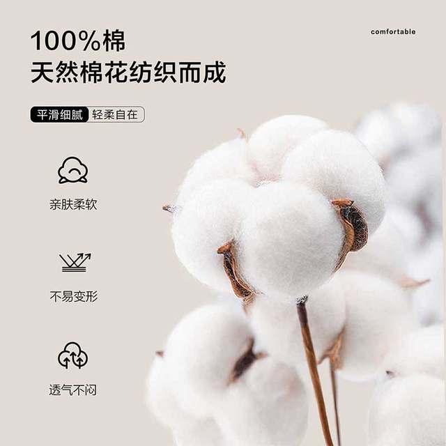 HaiLan Home Light Business Fashion Series Shirts