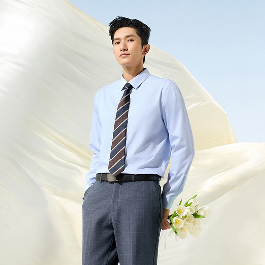 Hailan Home Light Business Solid Color Long Sleeve Formal Shirt