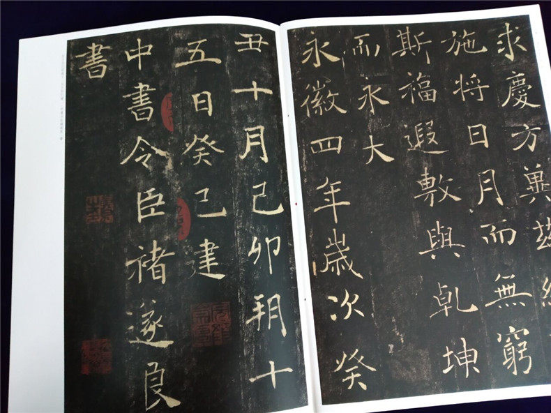 郑海霞是男是女