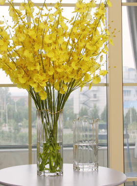 北欧玻璃花瓶透明简约创意客厅插花水养百合玫瑰鲜花餐桌花器摆件