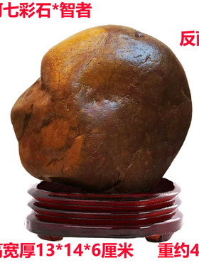 伟人象形石黄河天然原石人物黄蜡红石图案精品奇石祝贺寿礼品摆件